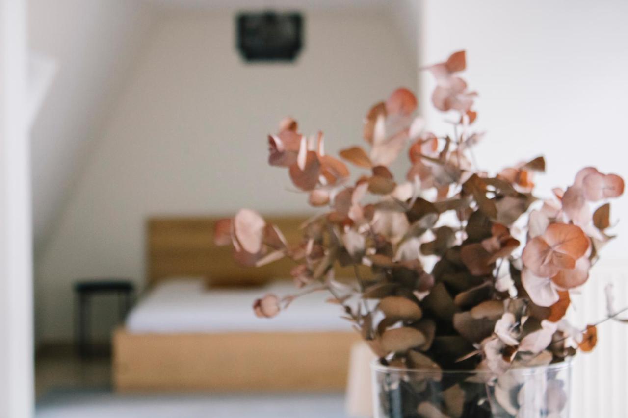 City Apartment 3 Bedroom, Kitchen, Wifi, Workspace, Coffee, Central Hasselt Luaran gambar